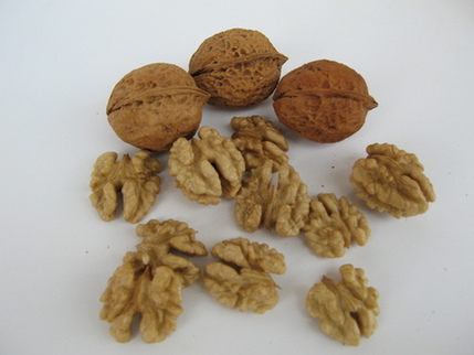 每天喝杯自制核桃汁 夏季润肤防燥 新华网上海