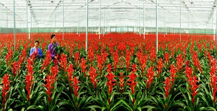 上海鲜花成_上海鲜花港_手捧鲜花