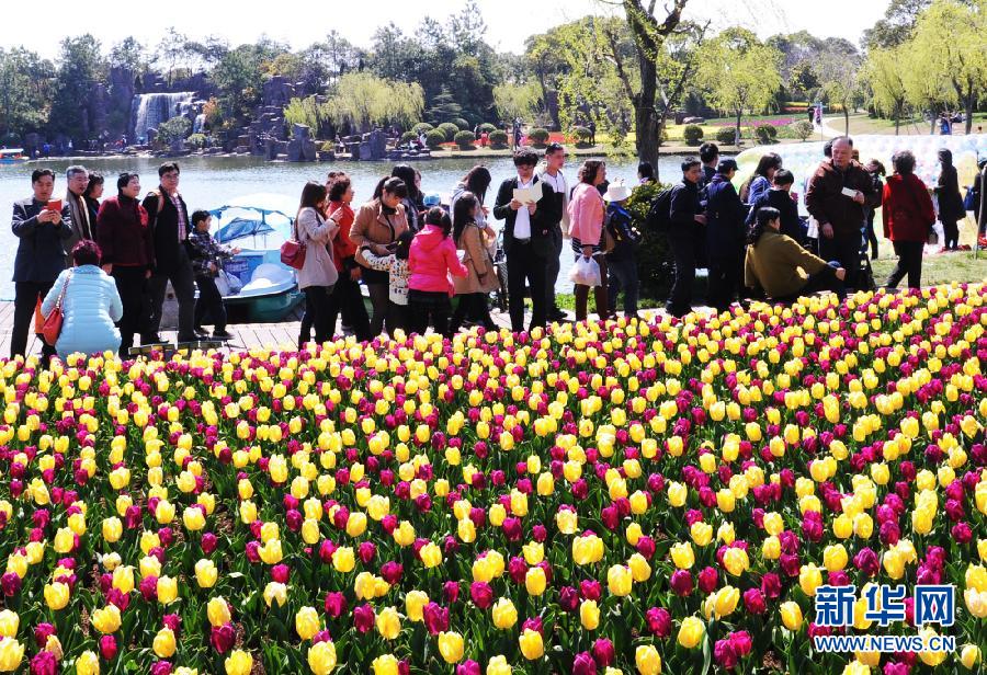 聚焦上海鲜花港_上海鲜花港_鲜花(4)