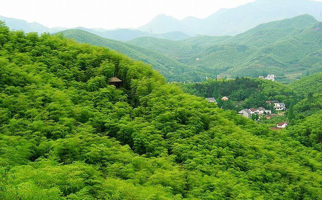 山沟沟简谱_回到山沟沟简谱(2)