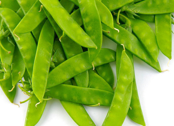 夏季下雨湿气重 想祛湿多吃这15种食物 新华网