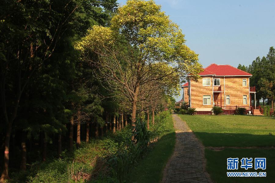 (图文互动)(4)千余亩农用地变身“私家领地” 27幢豪华别墅涉嫌违建