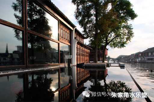 转载:寻访上海最美秋天的8个瞬间 - 石头 - 石头的博客