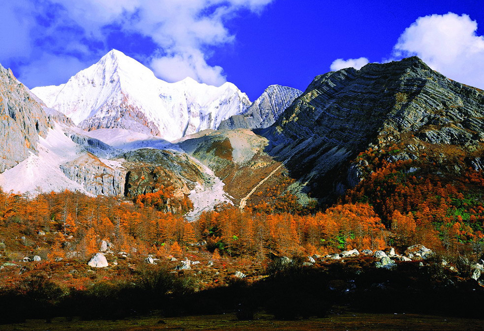 天凉好个秋 一起赶场去看国内外最美秋色