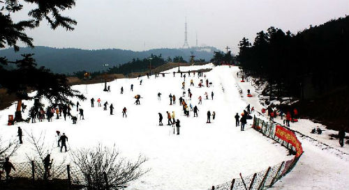 滑雪赏景无须"向北飞" 揭上海周边六大雪场