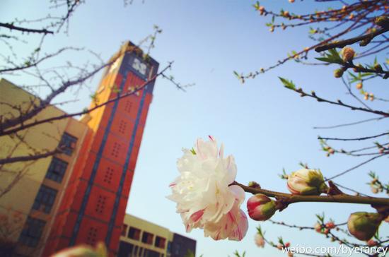 跟着热播电视剧《何以笙萧默》牵手游苏州 新