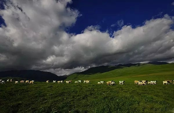 <em>免费</em>天堂!国内人少景美的8个旅行<em>处女</em>地 新华
