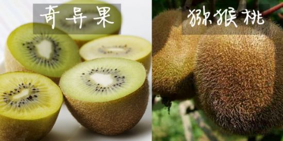 揭秘凤梨和菠萝等十五类相似食物的区别 新华