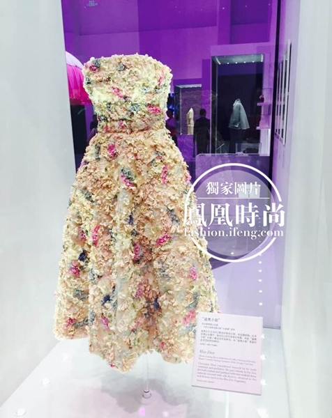 为何Miss Dior迪奥小姐展览挤爆798