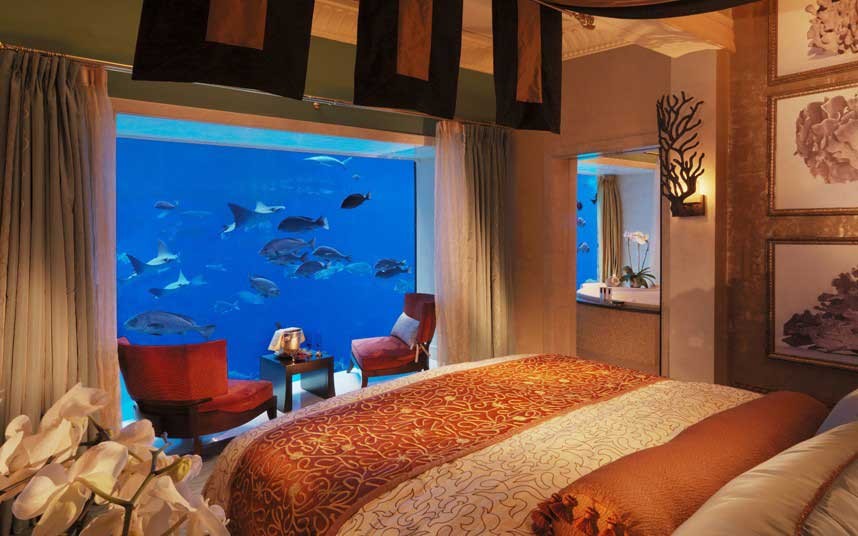 探访世界首家水下夜总会 新华网上海频道新闻