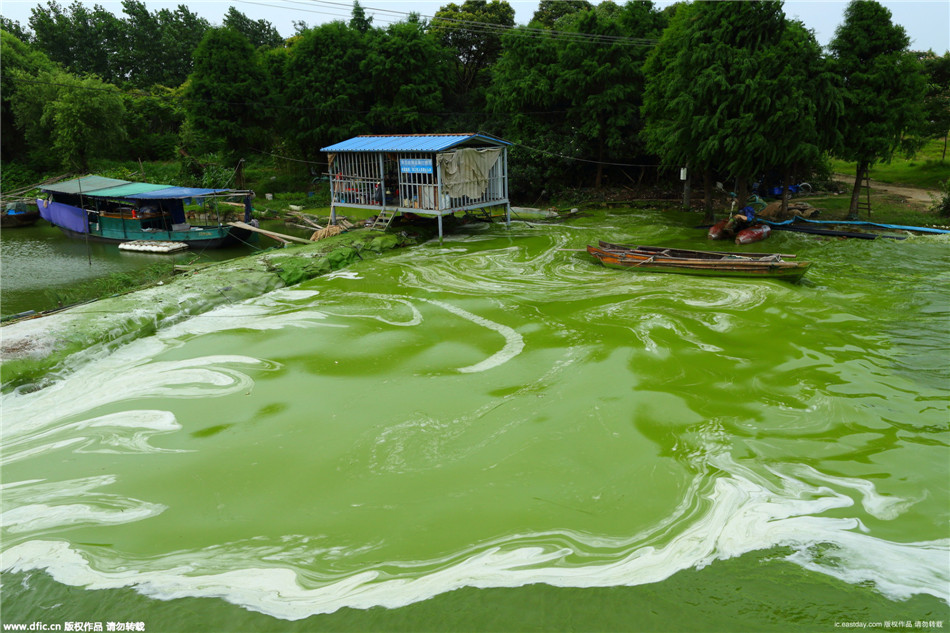 无锡治理太湖8年投入将近500亿 蓝藻还未消失