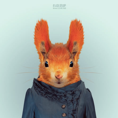 英国女子为鸡<em>织套头</em>衫过冬 动物穿上衣服都啥