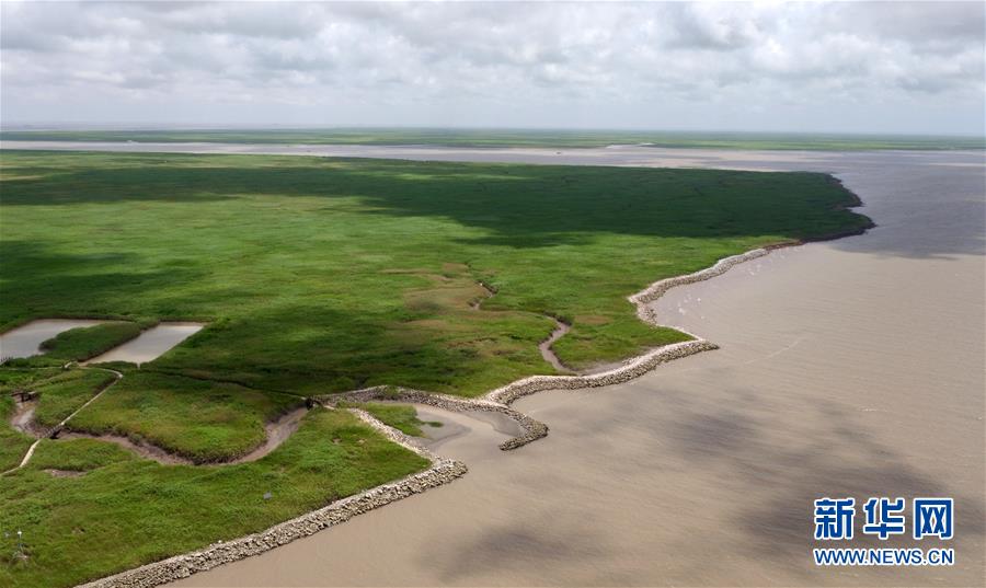 上海市九段沙湿地生态科普园规划设计