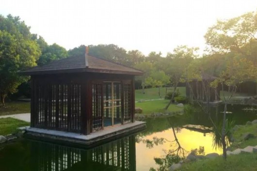 上海没有温泉?就在松江浦江源