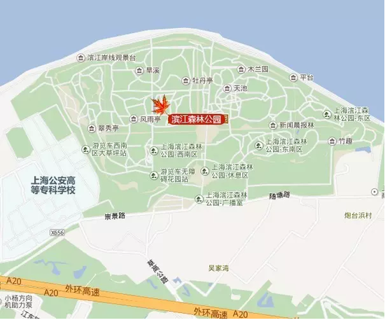 上海频道 > 正文     浦东新区   锦绣路 悬铃木 11月下旬   滨江森林