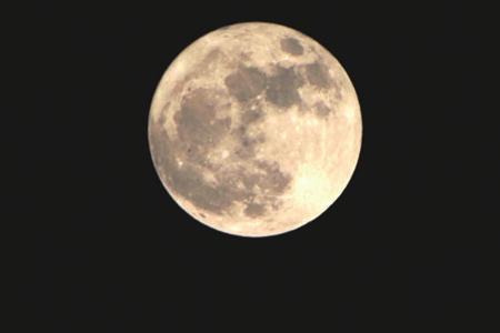 135833976_14792772142751n.JPG