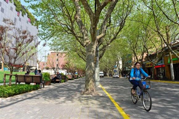 申城最 豪华 林荫道、最 好吃 公园在哪儿?