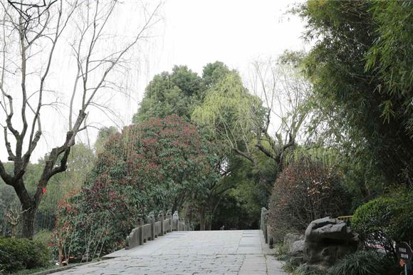 申城最 豪华 林荫道、最 好吃 公园在哪儿?