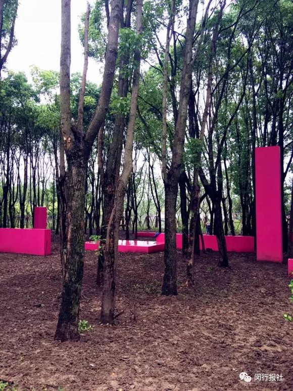 浦江森林公园游玩攻略,浦江森林公园游玩攻略一日游