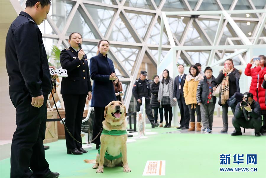 （社会）（1）上海科技馆举办狗年生肖展