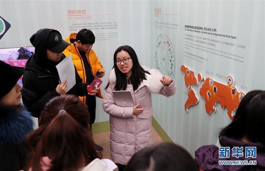 （社會）（3）上海科技館舉辦狗年生肖展