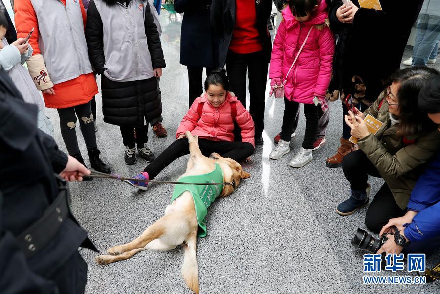 （社會）（5）上海科技館舉辦狗年生肖展