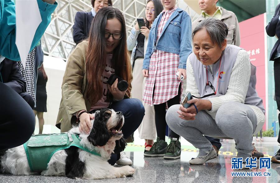 （新華視界）（5）五星級檢疫犬&ldquo;四眼&rdquo;退役