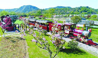 鲁家村的观光小火车虽然车票不便宜,但仍吸引了不少游客乘坐.