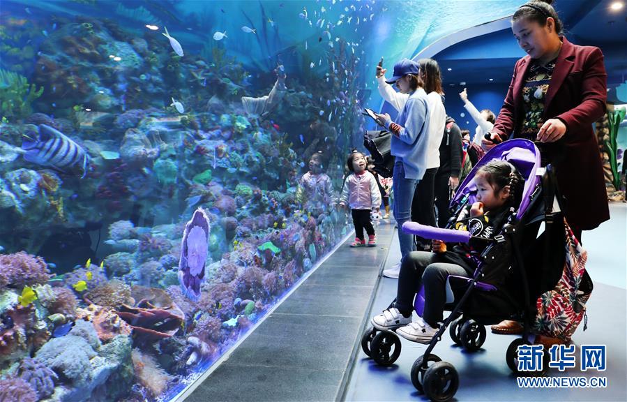 （社會）（4）上海海昌海洋公園開門迎客