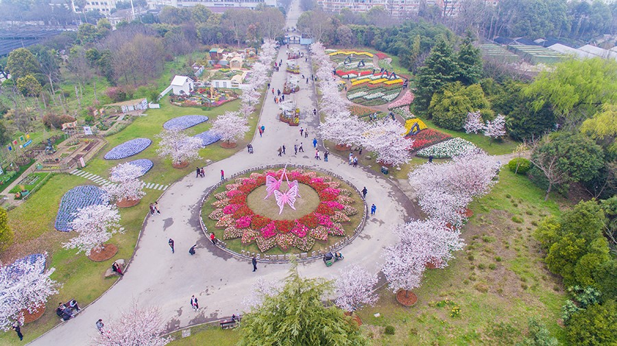 2019上海(国际)花展揭幕