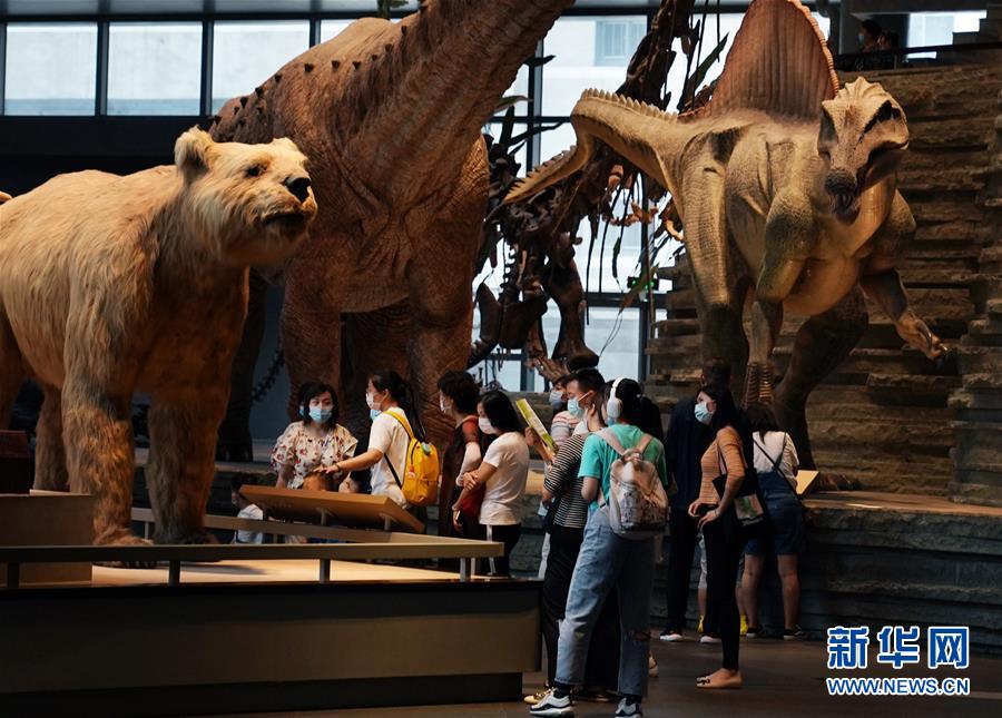 （社會）（4）上海：自然博物館迎來“暑期檔”