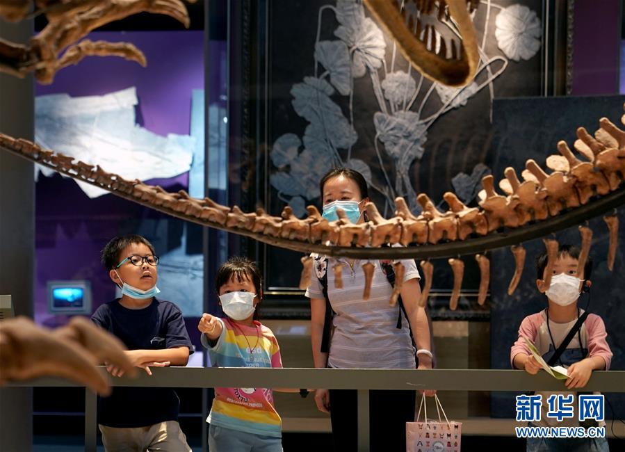 （社會）（5）上海：自然博物館迎來“暑期檔”