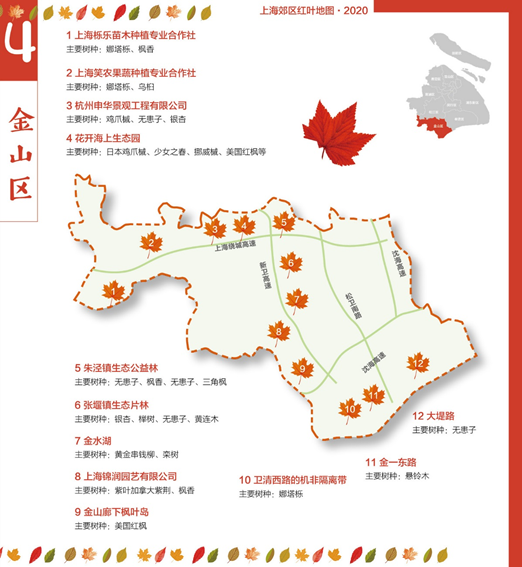 地图4.png
