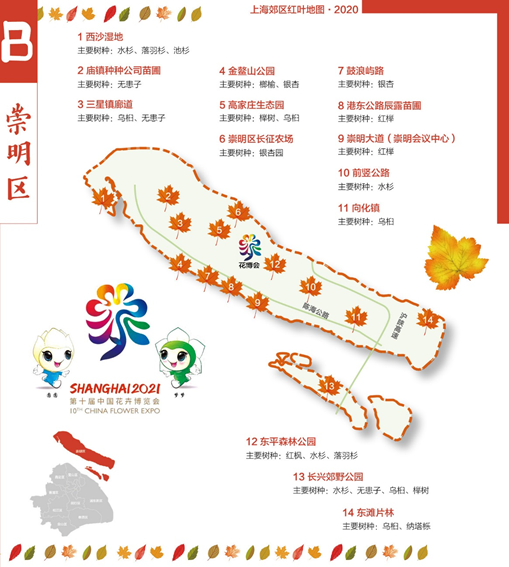 地图8.png