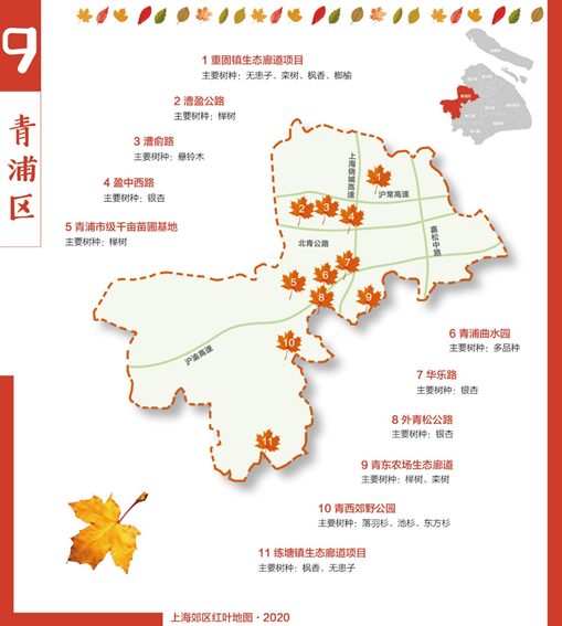地图9.png