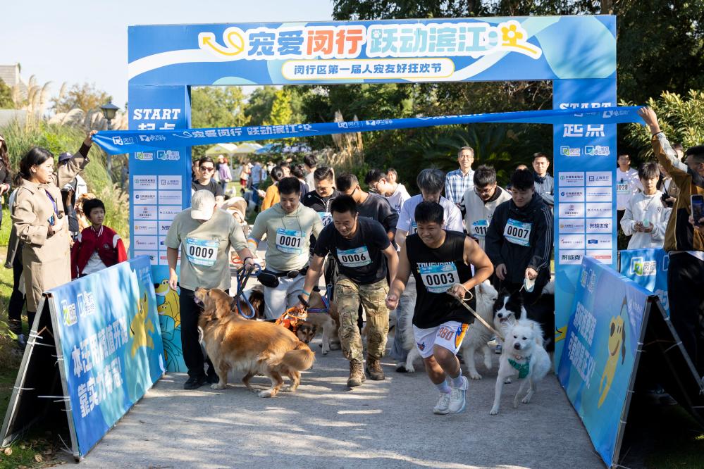 上海：閔行區首屆人寵友好狂歡節啟幕
