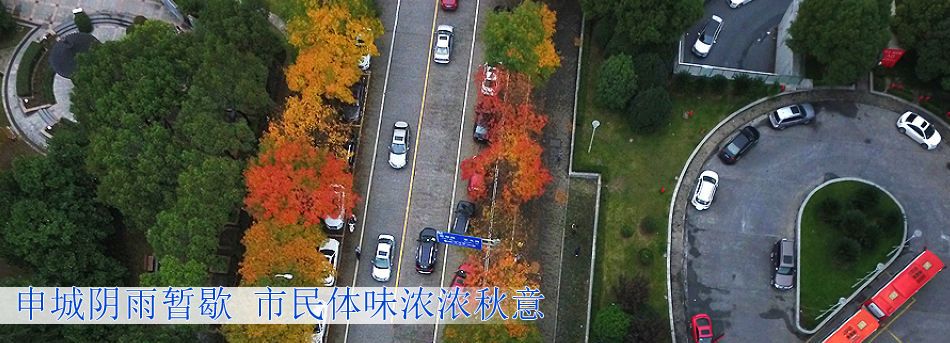 申城陰雨暫歇 市民體味濃濃秋意