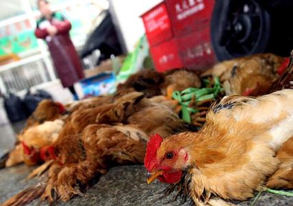 关注H7N9禽流感疫情防控工作 新华网上海频道