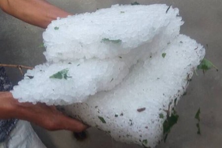 儿童乘车安全八项注意-新华网