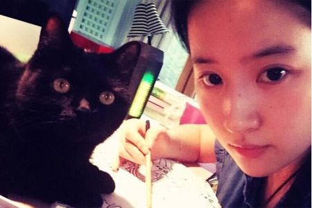  刘亦菲素颜画画 显清纯 揭娱乐圈那些会画画的