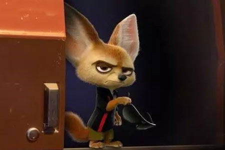 看过疯狂动物园你想养耳廓狐? 这些动物慎做宠