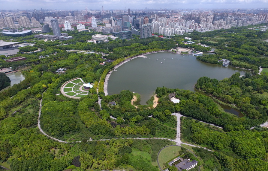 航拍“城市绿洲”上海世纪公园
