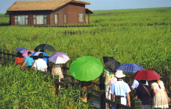 【一起重温那些年的上海旅游节】良辰美景篇