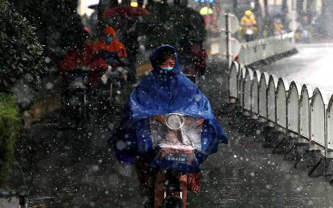初雪輕拂上海，雪羽飄舞，美翻了！