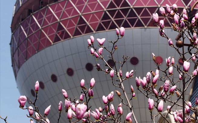 上海：花开春意暖