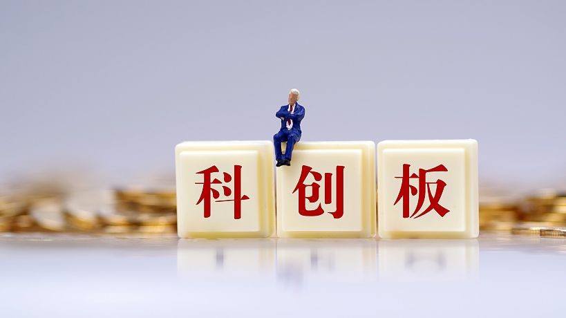 科创板 上市委咨询委候选名单揭晓