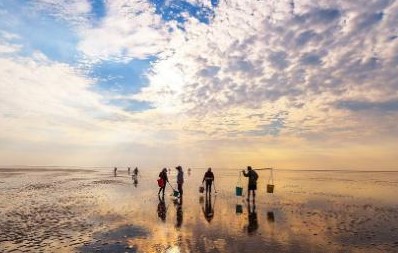 一路走來 還是東臺