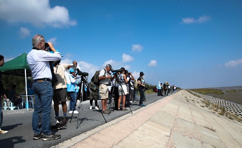 來東臺條子泥，看2019鹽城國際觀鳥賽
