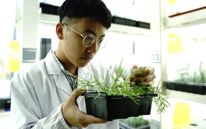 www.qy88.vip多地发现国家二级重点保护野生植物粗梗水蕨