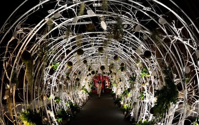 上海：陰生植物展受青睞